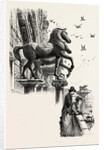 Horses of St. Mark, San Marco, Venice, Italy by Anonymous