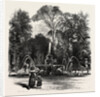 Fountain in the Borghese Gardens, Rome and Its Environs, Italy by Anonymous