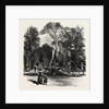 Fountain in the Borghese Gardens, Rome and Its Environs, Italy by Anonymous