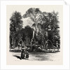 Fountain in the Borghese Gardens, Rome and Its Environs, Italy by Anonymous