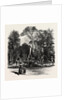 Fountain in the Borghese Gardens, Rome and Its Environs, Italy by Anonymous