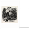 Fountain in the Borghese Gardens, Rome and Its Environs, Italy by Anonymous
