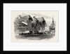 Escholtzmatt, Bernese Oberland, Berner Oberland, Switzerland by Anonymous