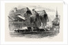 Escholtzmatt, Bernese Oberland, Berner Oberland, Switzerland by Anonymous