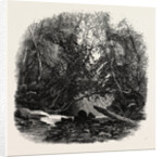 Head of the Staubbach, Bernese Oberland, Berner Oberland, Switzerland by Anonymous