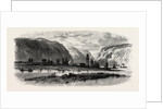 View of Andernach, the Rhine, Germany by Anonymous