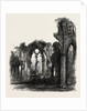 Netley Abbey by Anonymous
