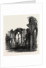 Netley Abbey by Anonymous