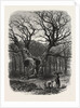William the Conqueror's Oak, Windsor by Anonymous