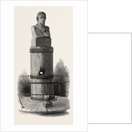 Nelson's Bust, Windsor by Anonymous