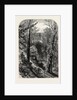 The Slopes, Windsor by Anonymous