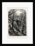 The Slopes, Windsor by Anonymous