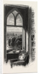 View from the Library Window by Anonymous