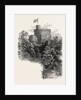 Windsor by Anonymous