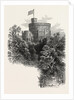 Windsor by Anonymous