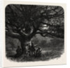 The Watch Oak, Windsor by Anonymous