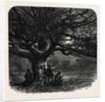 The Watch Oak, Windsor by Anonymous