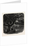 The Watch Oak, Windsor by Anonymous