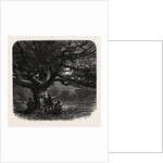 The Watch Oak, Windsor by Anonymous