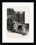 The Cascade, Virginia Water, Windsor by Anonymous