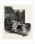 The Cascade, Virginia Water, Windsor by Anonymous