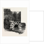 The Cascade, Virginia Water, Windsor by Anonymous