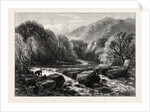 On the River, Lledr, Wales by Anonymous