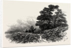 Mountain Path Near Capel Curig, North Wales by Anonymous