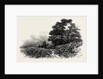 Mountain Path Near Capel Curig, North Wales by Anonymous