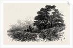 Mountain Path Near Capel Curig, North Wales by Anonymous