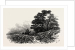 Mountain Path Near Capel Curig, North Wales by Anonymous