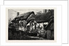 Anne Hathaway's Cottage by Anonymous