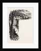 Matlock, the Dales of Derbyshire by Anonymous