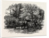 Markeaton Brook, the Dales of Derbyshire, Country by Anonymous