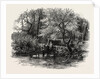 Markeaton Brook, the Dales of Derbyshire, Country by Anonymous