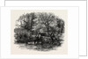 Markeaton Brook, the Dales of Derbyshire, Country by Anonymous