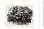 Markeaton Brook, the Dales of Derbyshire, Country by Anonymous