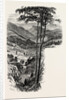 The Vale of Cromford and Matlock, from the Black Rocks, the Dales of Derbyshire, Country by Anonymous