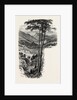 The Vale of Cromford and Matlock, from the Black Rocks, the Dales of Derbyshire, Country by Anonymous