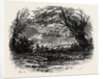 In Depedale, the Dales of Derbyshire by Anonymous