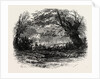 In Depedale, the Dales of Derbyshire by Anonymous