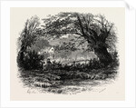 In Depedale, the Dales of Derbyshire by Anonymous