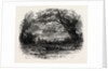 In Depedale, the Dales of Derbyshire by Anonymous