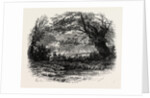 In Depedale, the Dales of Derbyshire by Anonymous