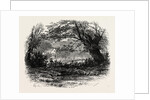 In Depedale, the Dales of Derbyshire by Anonymous