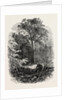 The Victoria Oak, Windsor Forest, the Forest Scenery of Great Britain by Anonymous