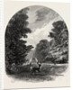 The Chestnuts in Bushey Park, the Forest Scenery of Great Britain by Anonymous