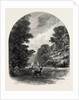 The Chestnuts in Bushey Park, the Forest Scenery of Great Britain by Anonymous