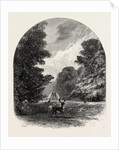The Chestnuts in Bushey Park, the Forest Scenery of Great Britain by Anonymous