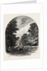 The Chestnuts in Bushey Park, the Forest Scenery of Great Britain by Anonymous